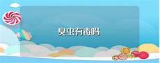 初中数学补习班 补习班招生广告 哪里好